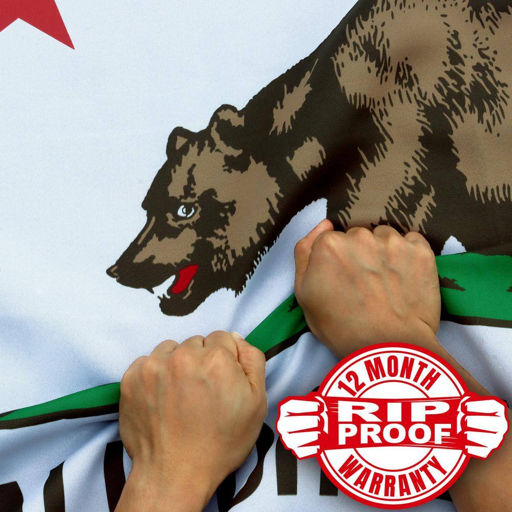 Rip-Proof Double Sided 3-Ply California State Flag 3x5 Foot