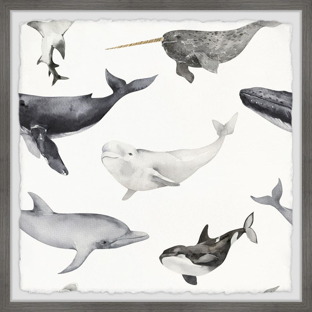 Dolphins and Whales by Marmont Hill Framed Animal Art Print 24 in. x 24 in.