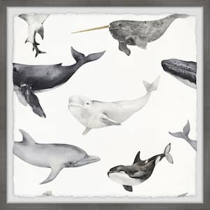 "Dolphins and Whales" by Marmont Hill Framed Animal Art Print 24 in. x 24 in.