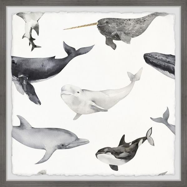 Unbranded "Dolphins and Whales" by Marmont Hill Framed Animal Art Print 24 in. x 24 in.