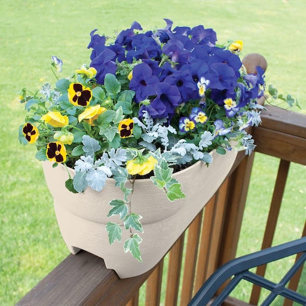 Bloomers Series 24 in. W x 12 in. H Tan Resin Deck and Porch Rail Planter