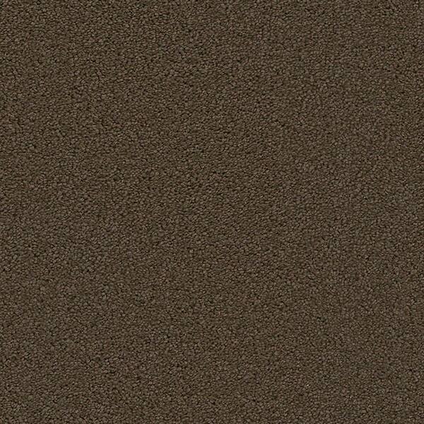 Lifeproof Carpet Sample - Harvest II - Color Newville Texture 8 in. x 8 in.