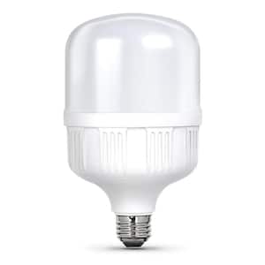 300-Watt Equivalent Oversized High Lumen Daylight (5000K) HID Utility LED Light Bulb (1-Bulb)