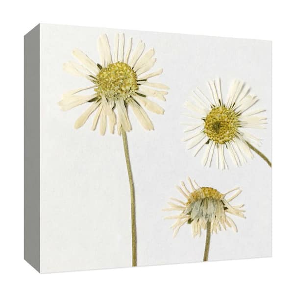 PTM Images "Nature III'' Canvas Abstract Wall Art 15 in. x 15 in.