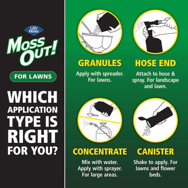 Moss Out! 20 Moss Out! Moss Killer Lawn Granules 100099164 The Home