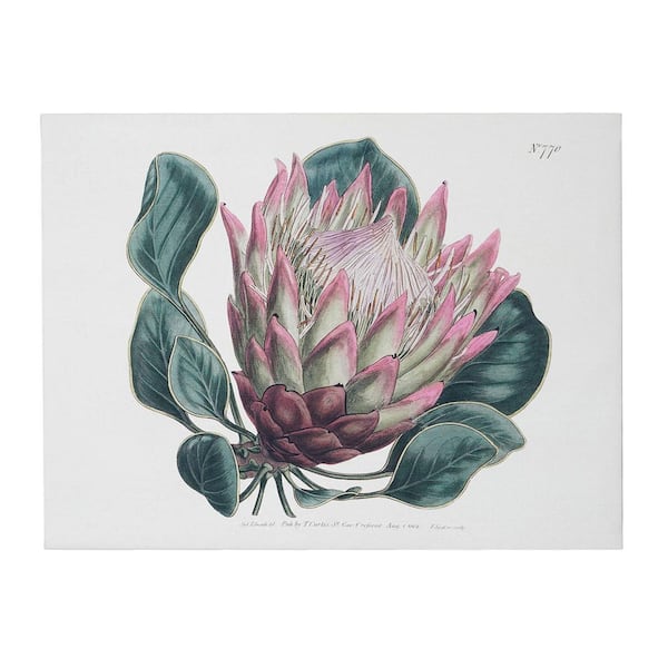 Dragon Leaf Flower Botanical Canvas Wall Art, Unframed Vintage Floral Painting Print Decor, 12 in. x 16 in.