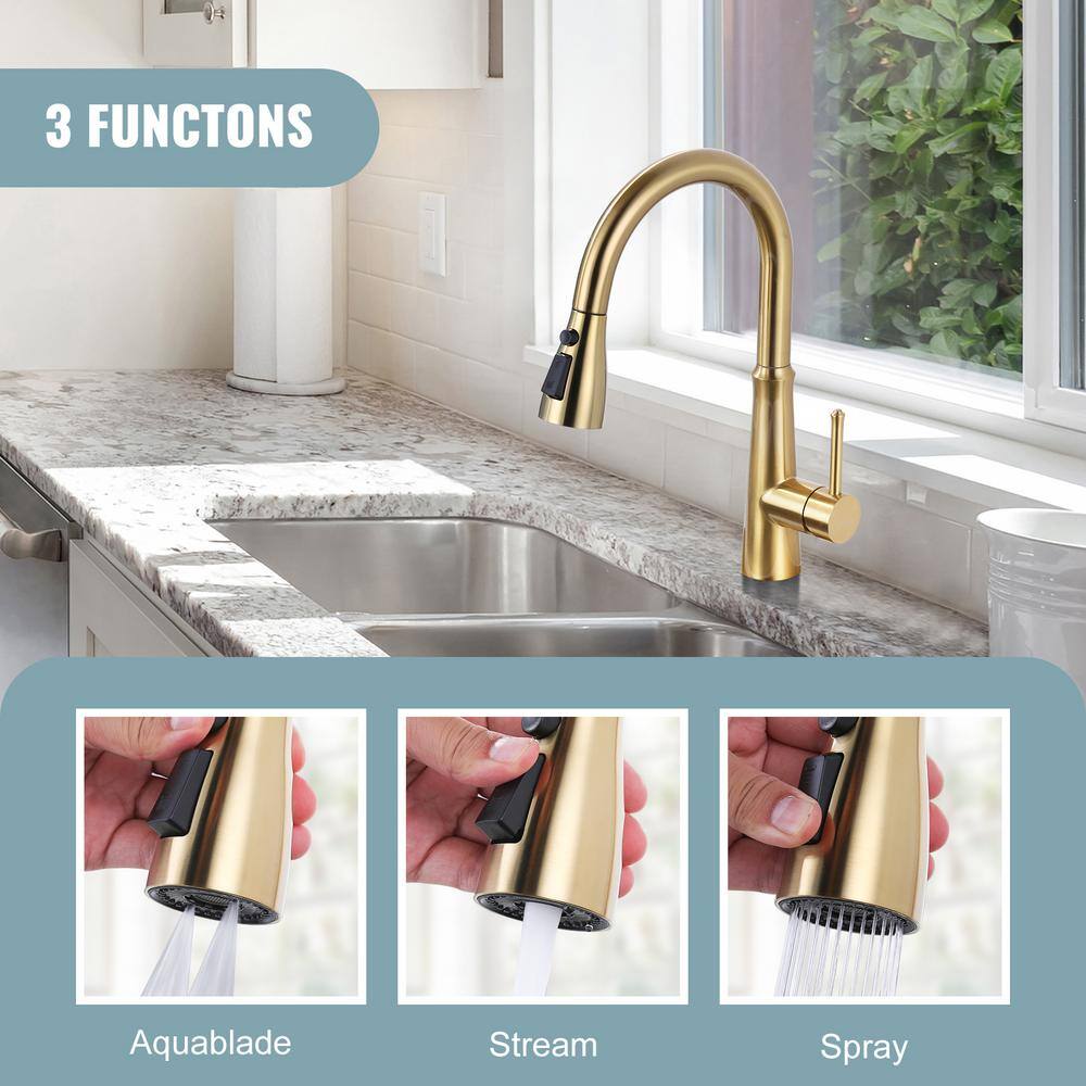 Brushed Gold 3-Function Kitchen Faucet Sprayer Head with Adapters