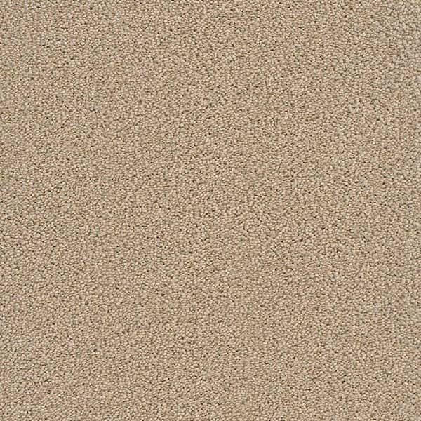 Lifeproof Carpet Sample - Harvest II - Color Campo Texture 8 in. x 8 in.