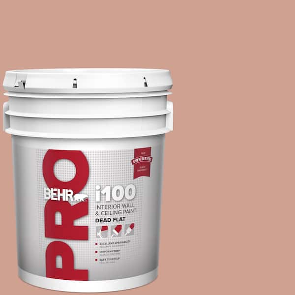 5 gal. #S180-4 Shiny Kettle Dead Flat Interior Paint