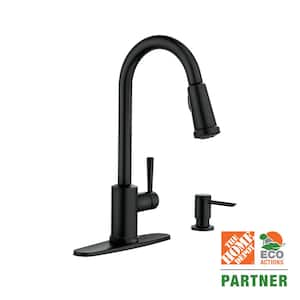 Indi Single-Handle Pull-Down Sprayer Kitchen Faucet with Reflex and Power Clean in Matte Black