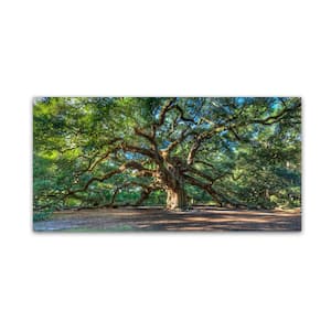 16 in. x 32 in. Angel Oak Charleston Canvas Art