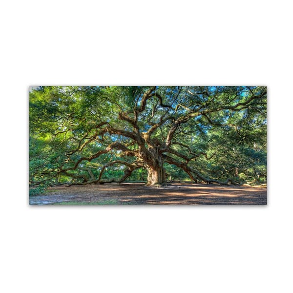 Trademark Fine Art 24 in. x 47 in. Angel Oak Charleston Canvas Art