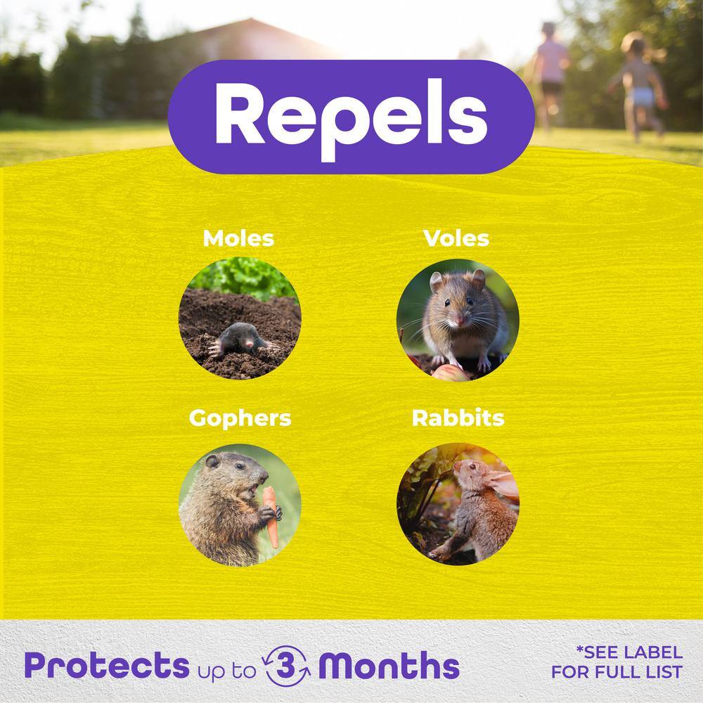 MoleMax 10 lb Yellow Granular Mole and Vole Repellent