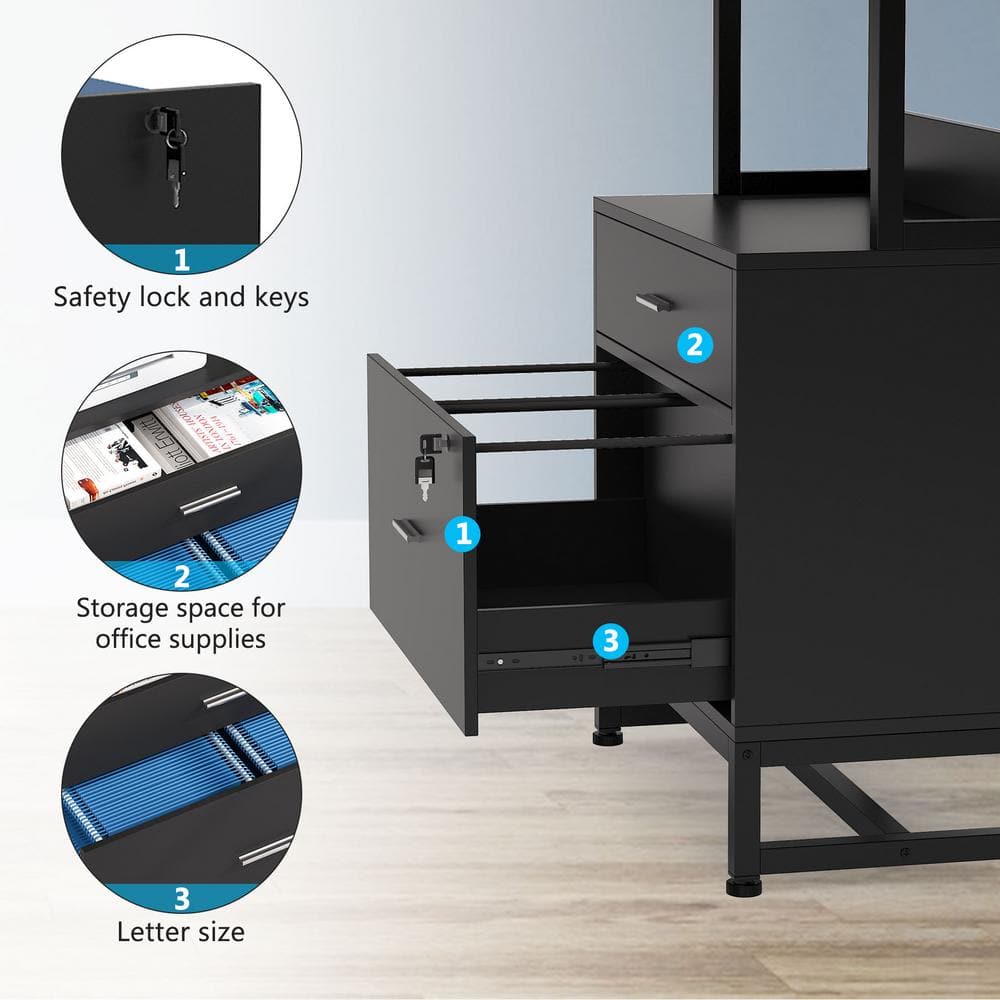 Black Vertical 2-Drawer Lockable File Cabinet with Shelves