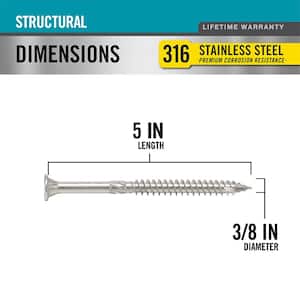 3/8 in. x 5 in. Star Drive Wafer Head Structural 316 Stainless Steel Screw