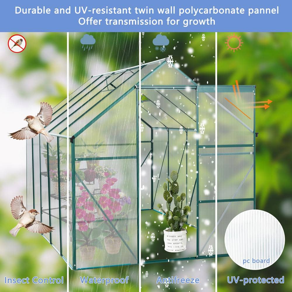 Green Aluminum Frame Walk-In Polycarbonate Greenhouse with Sliding Door