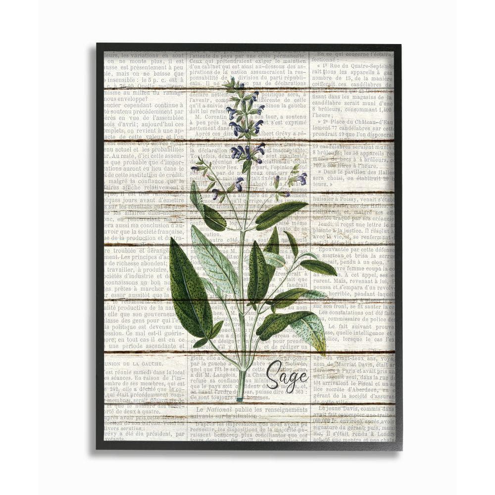 Stupell Industries 11 in. x 14 in. ""Sage Vintage Herb Kitchen Dining Room Word Collage"" by Kimberly Allen Framed Wall Art, Multi-Colored -  kwp-2105fr11x14