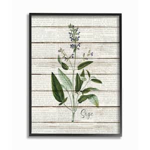 16 in. x 20 in. "Sage Vintage Herb Kitchen Dining Room Word Collage" by Kimberly Allen Framed Wall Art