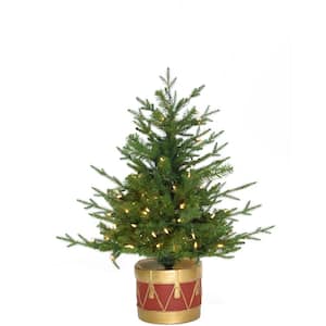 3 ft. Pre-Lit Adirondack Potted Christmas Tree with Warm White LED Lights
