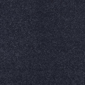 Coral Reef II - Blue Comet - 93.6 oz. Nylon Texture Installed Carpet