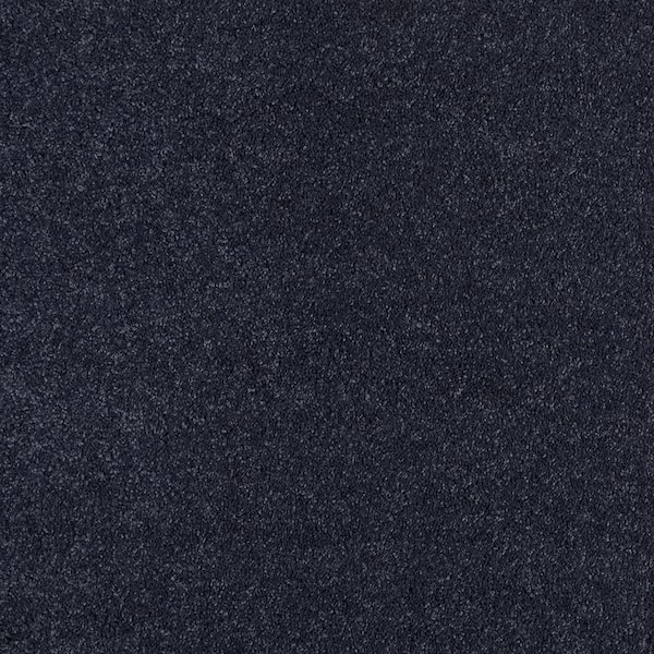 Lifeproof Coral Reef II - Blue Comet - 93.6 oz. Nylon Texture Installed Carpet
