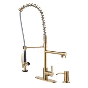 Commercial Single-Handle High-Arc Pull Down Sprayer Kitchen Faucet with Soap Dispenser for Restaurant in Brushed Gold