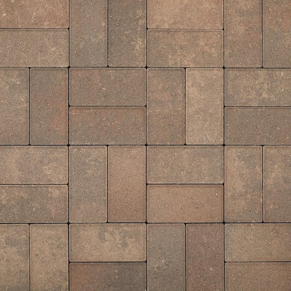 Pavestone Holland 7.87 in. L x 3.94 in. W x 2.36 in. H 60 mm Sand Brown Charcoal Concrete Paver