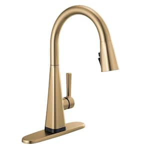 Lenta Touch Single-Handle Pull-Down Sprayer Kitchen Faucet with ShieldSpray Technology in Champagne Bronze