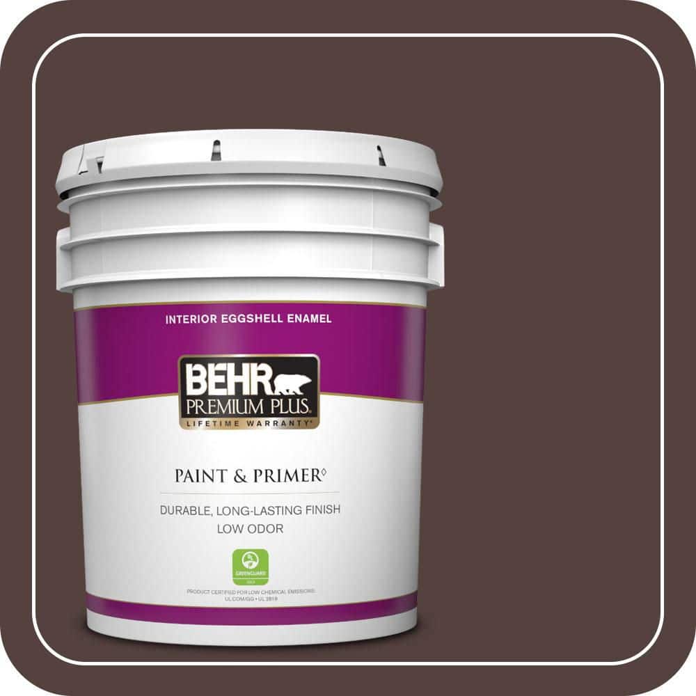 5 gal. #BNC-21 Double Espresso Eggshell Enamel Low Odor Interior Paint & Primer price history on PriceWatchPro