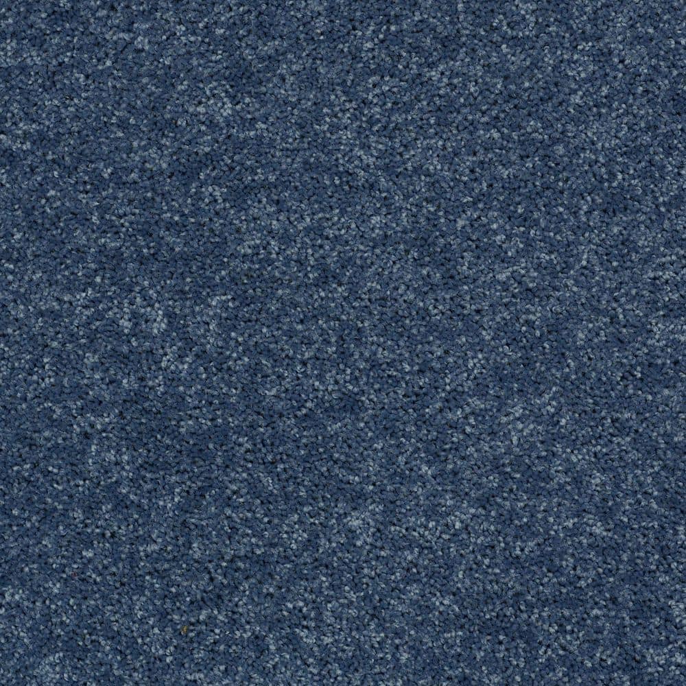 8 in. x 8 in. Texture Carpet Sample - Cottage Comforts - Color Shore Line price history on PriceWatchPro