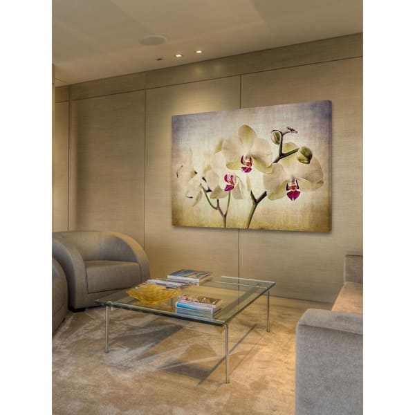 Unbranded 16 in. H x 24 in. W "Pale Orchids Wide" by Honey Malek Printed Canvas Wall Art