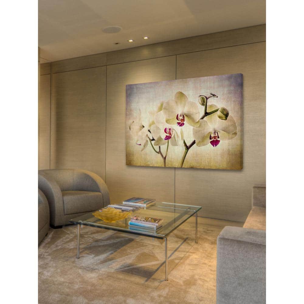 12 in. H x 18 in. W Pale Orchids Wide by Honey Malek Printed Canvas Wa