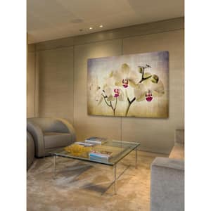 30 in. H x 45 in. W "Pale Orchids Wide" by Honey Malek Printed Canvas Wall Art