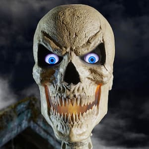 Standard Skelly Scary Head