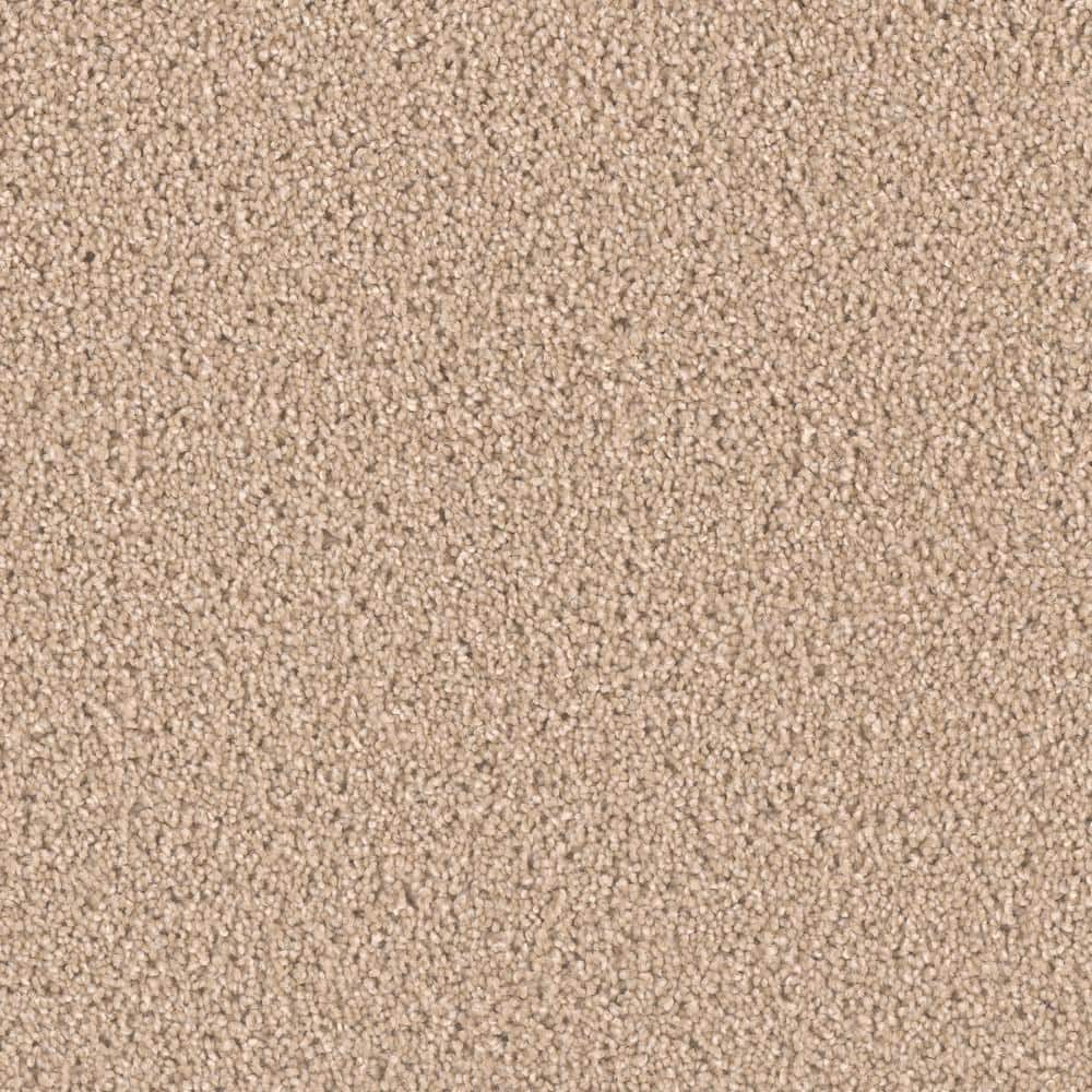 8 in. x  8 in. Texture Carpet Sample - Delicate Flower -Color Thrive price history on PriceWatchPro