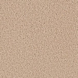 Delicate Flower  - Thrive - Beige 40 oz. SD Polyester Texture Installed Carpet
