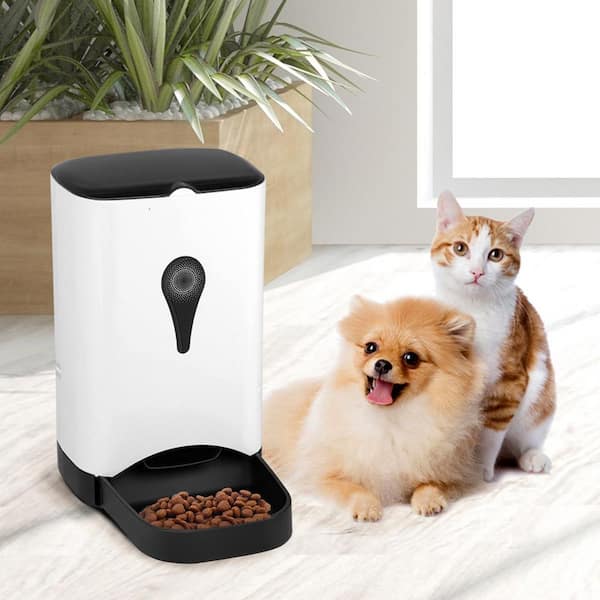 Arf Pets 40-oz 5 Meal Automatic Pet Feeder - Wet or Dry Food for