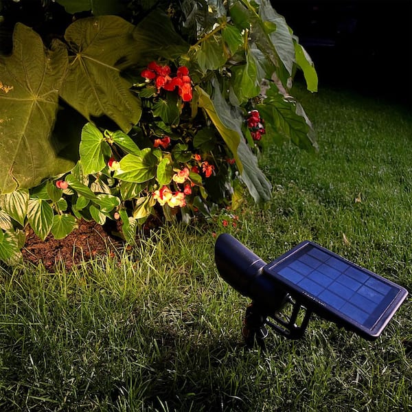 GAMA SONIC Progressive Black Solar Integrated LED Landscape Flood