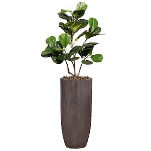 37 in. High Artificial Fig Tree with Fiberstone Planter