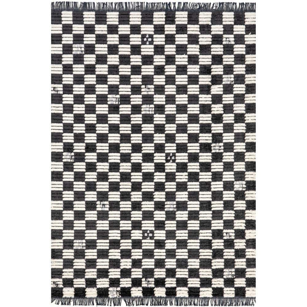 Pania Dark Gray and White Geometric Synthetic 4' x 6' Area Rug