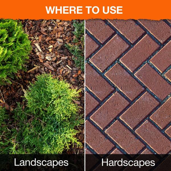 Roundup 35 2 Oz Weed And Grass Killer Concentrate 500951005 The Home Depot