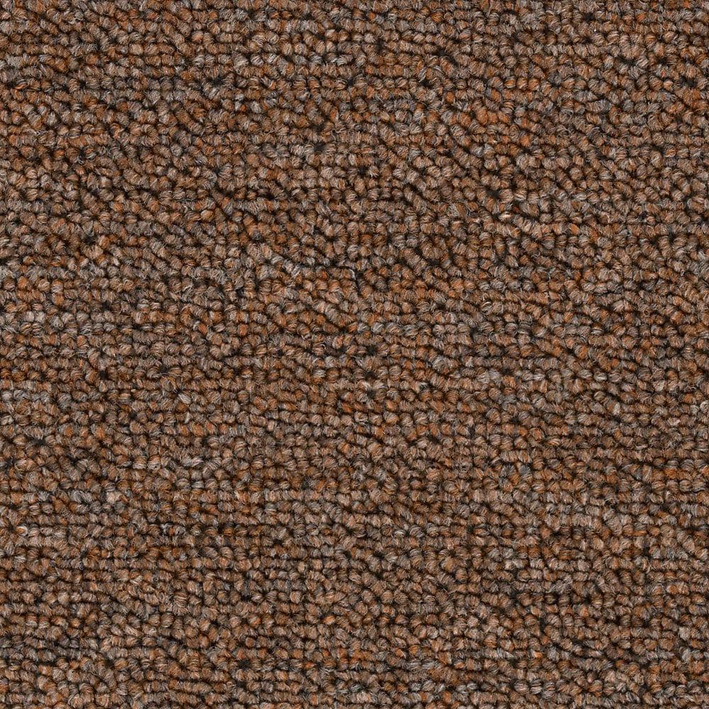 8 in. x 8 in. Loop Carpet Sample - Main Rail 20 -Color Saddle price history on PriceWatchPro