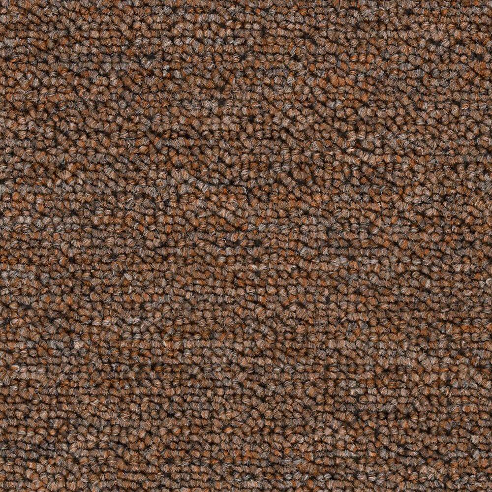 8 in. x 8 in. Loop Carpet Sample - Main Rail 26 -Color Saddle price history on PriceWatchPro
