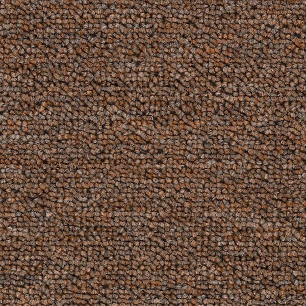 TrafficMaster 8 in. x 8 in. Loop Carpet Sample - Main Rail 26 -Color Saddle