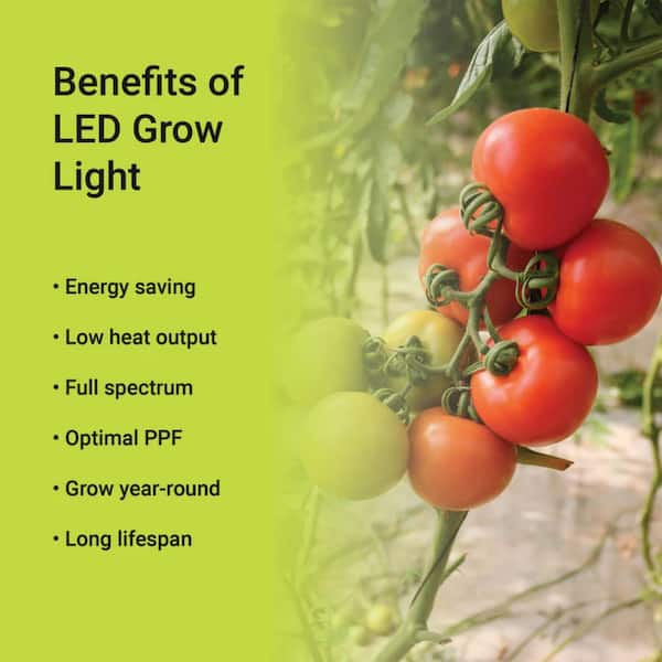 GT GT-Lite 40-Watt E26 52.54 PPF Wide Spectrum Grow Light LED Bulb with E26  Base Specialty Code for Plant Growing, a Light Bulb BD-GR-CHB50-KL-2 - The  Home Depot