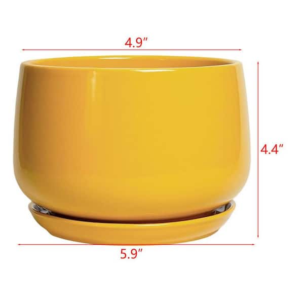 Samll Yellow Ceramic Indoor/Outdoor Planter with Saucer (5.9 in. W x 4.4  in. H) L0F843NTSD - The Home Depot