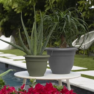 Ariana 13 in. Charcoal Grey Plastic Self-Watering Planter