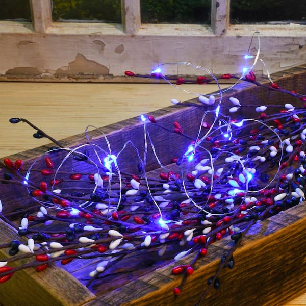 LED String Light 2 AA Batt Required Blue and Red Battery powered 10 Light Set