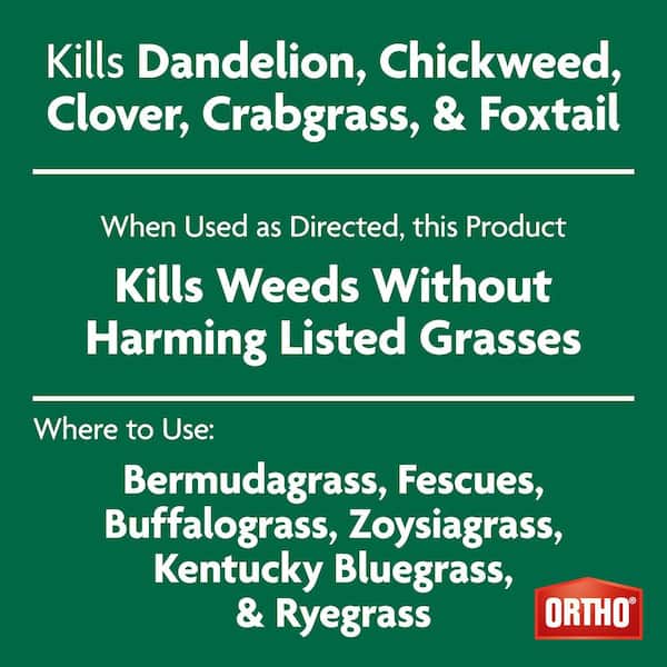 Weed B-Gon 1 Gal. Lawn Weed Killer Plus Crabgrass Control with Comfort Wand, Kills Dandelion, Clover, Crabgrass and More