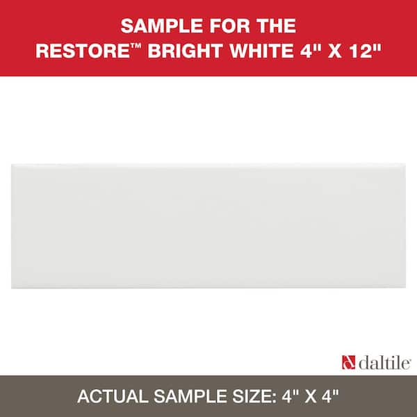 American Olean Bright White Ceramic Bullnose Tile (4-in x 4-in)